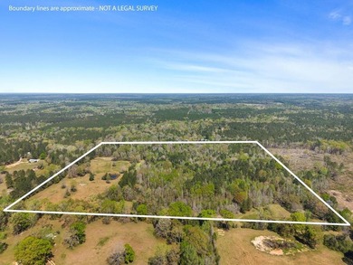32 gorgeous acres are now available in Poplarville. This - photo 1