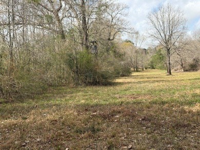 32 gorgeous acres are now available in Poplarville. This - photo 2
