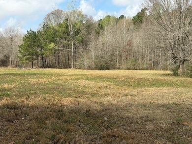 32 gorgeous acres are now available in Poplarville. This - photo 3