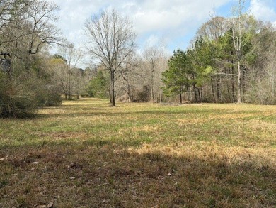 32 gorgeous acres are now available in Poplarville. This - photo 4