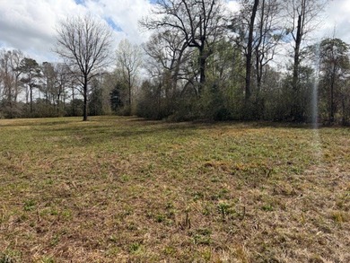 32 gorgeous acres are now available in Poplarville. This - photo 5