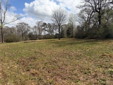 32 gorgeous acres are now available in Poplarville. This - photo 6
