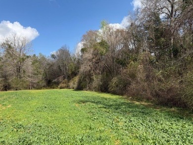 32 gorgeous acres are now available in Poplarville. This - photo 7