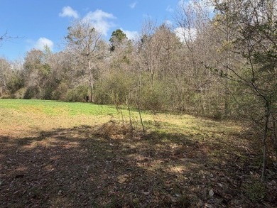 32 gorgeous acres are now available in Poplarville. This - photo 8