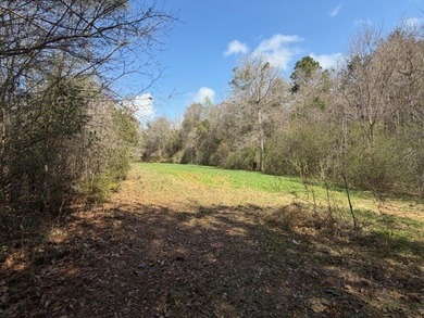 32 gorgeous acres are now available in Poplarville. This - photo 9