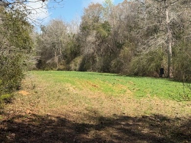 32 gorgeous acres are now available in Poplarville. This - photo 10
