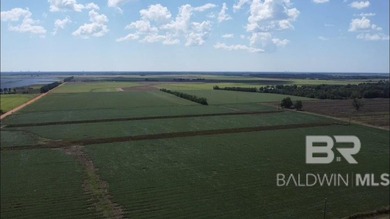 Prime Residential Lot - Right Outside the Heart of Foley - photo 2