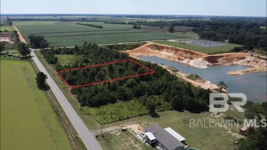 Prime Residential Lot - Right Outside the Heart of Foley - photo 3