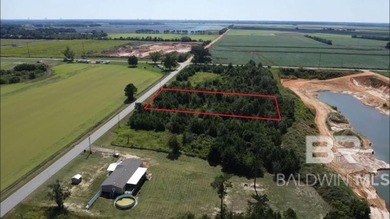 Prime Residential Lot - Right Outside the Heart of Foley - photo 4
