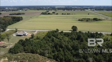 Prime Residential Lot - Right Outside the Heart of Foley - photo 5