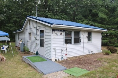 Icehouse Lake Home For Sale in Harrison Michigan