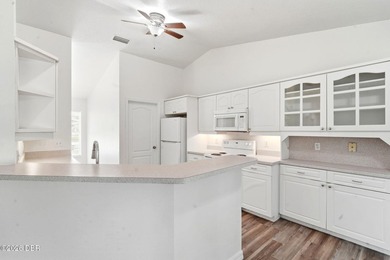 Welcome to 3128 Mango Tree Drive, Edgewater, where modern - photo 11