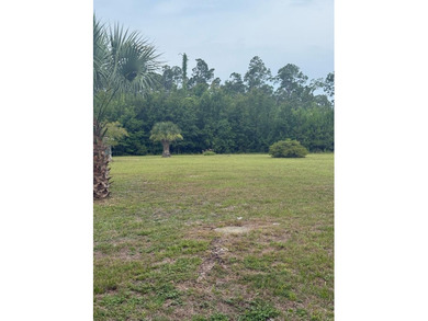 Site ready oversized 1/2 acre plus lots that are golf cart - photo 11