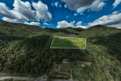 Watauga Lake Acreage For Sale in Butler Tennessee