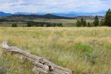 (private lake, pond, creek) Acreage Active Under Contract in Hartsel Colorado