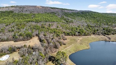 (private lake, pond, creek) Commercial For Sale in Heavener Oklahoma