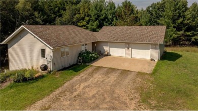 Lake Home For Sale in Backus, Minnesota