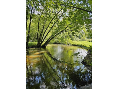 Lake Acreage For Sale in Big Lake Twp, Minnesota