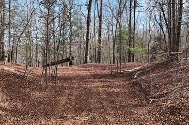 7 Gorgeous wooded acres in scenic Habersham County, GA - photo 12