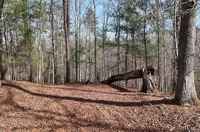 7 Gorgeous wooded acres in scenic Habersham County, GA - photo 13