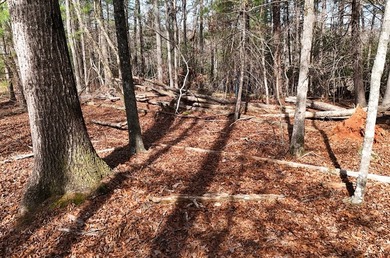 7 Gorgeous wooded acres in scenic Habersham County, GA - photo 14