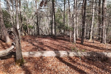 7 Gorgeous wooded acres in scenic Habersham County, GA - photo 15