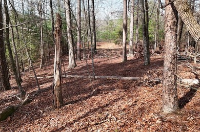 7 Gorgeous wooded acres in scenic Habersham County, GA - photo 16