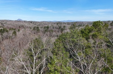 7 Gorgeous wooded acres in scenic Habersham County, GA - photo 17