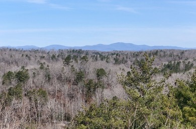 7 Gorgeous wooded acres in scenic Habersham County, GA - photo 18