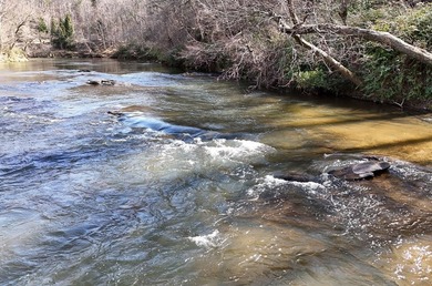 7 Gorgeous wooded acres in scenic Habersham County, GA - photo 19
