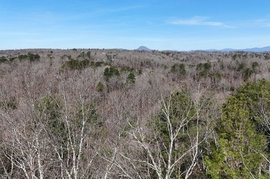 7 Gorgeous wooded acres in scenic Habersham County, GA - photo 22