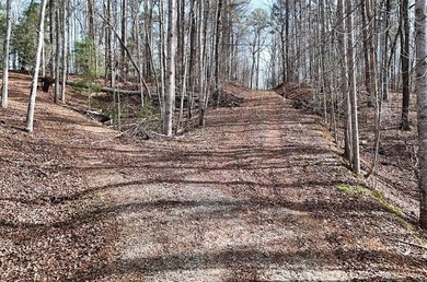 7 Gorgeous wooded acres in scenic Habersham County, GA - photo 23