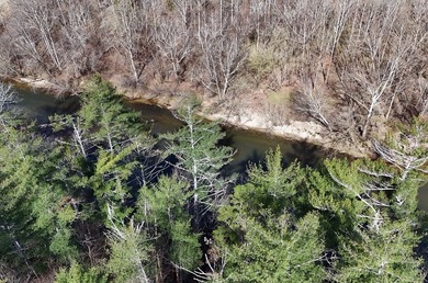 7 Gorgeous wooded acres in scenic Habersham County, GA - photo 24