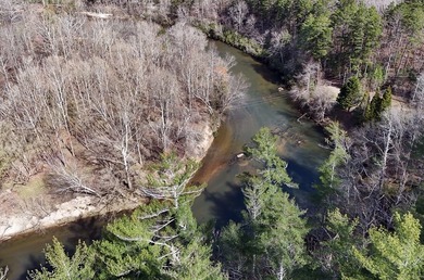 7 Gorgeous wooded acres in scenic Habersham County, GA - photo 26
