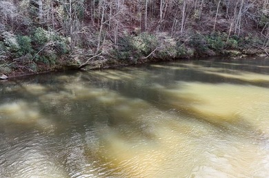 7 Gorgeous wooded acres in scenic Habersham County, GA - photo 27