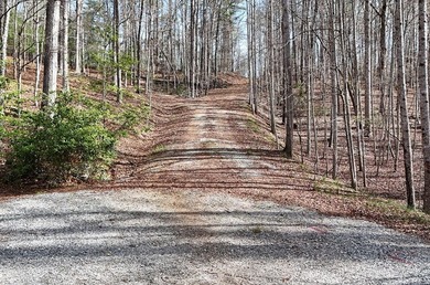 7 Gorgeous wooded acres in scenic Habersham County, GA - photo 28