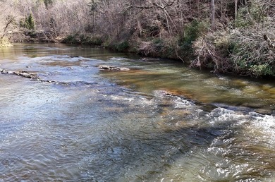 7 Gorgeous wooded acres in scenic Habersham County, GA - photo 29