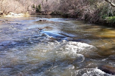 7 Gorgeous wooded acres in scenic Habersham County, GA - photo 30