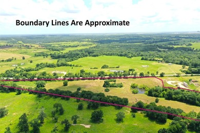 Approx. 18 acres near Donie with lots of road frontage on Hwy - photo 1