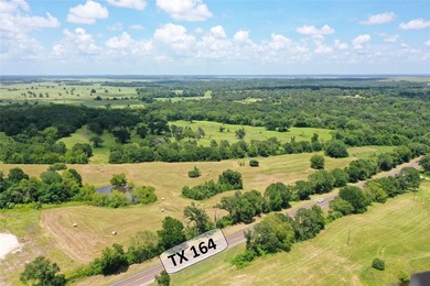 Approx. 18 acres near Donie with lots of road frontage on Hwy - photo 3