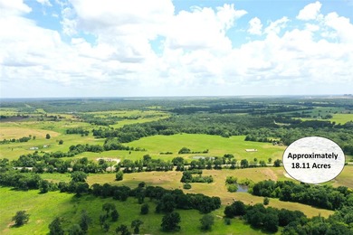 Approx. 18 acres near Donie with lots of road frontage on Hwy - photo 4