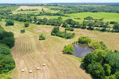 Approx. 18 acres near Donie with lots of road frontage on Hwy - photo 5