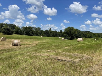 Approx. 18 acres near Donie with lots of road frontage on Hwy - photo 7