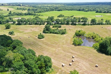 Approx. 18 acres near Donie with lots of road frontage on Hwy - photo 8
