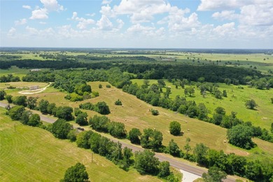 Approx. 18 acres near Donie with lots of road frontage on Hwy - photo 9