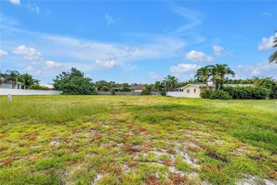 Rare Opportunity! Prime Tierra Verde building lote to this - photo 12