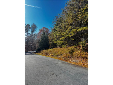 If you are looking for a wonderful lot located in a gated - photo 14