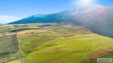 The Arrow S Ranch is a diverse and immense farm & ranch property - photo 1