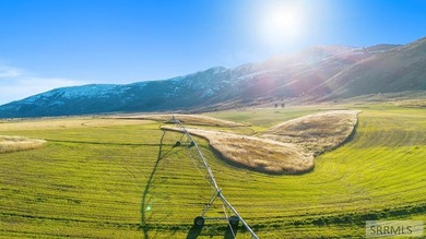 The Arrow S Ranch is a diverse and immense farm & ranch property - photo 3