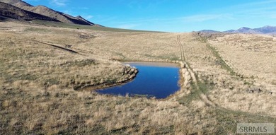 The Arrow S Ranch is a diverse and immense farm & ranch property - photo 8